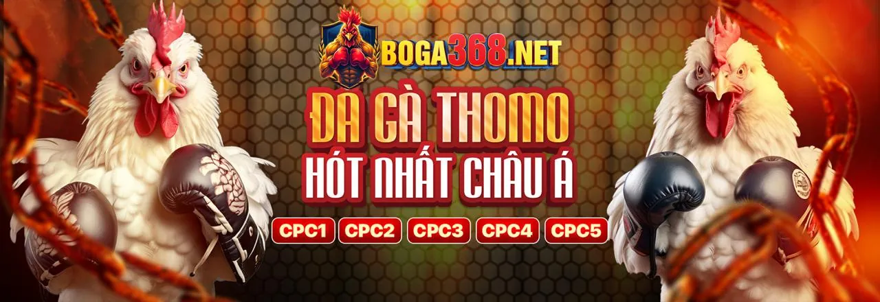 Đăng Ký CO88 Link Vào Chính Thức